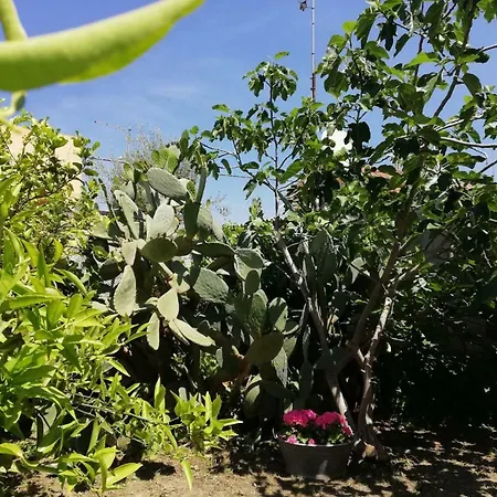 Aeroporto Bellini 3* Catania
