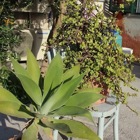 Aeroporto Bellini 3*