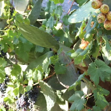 Aeroporto Bellini 3* Catania