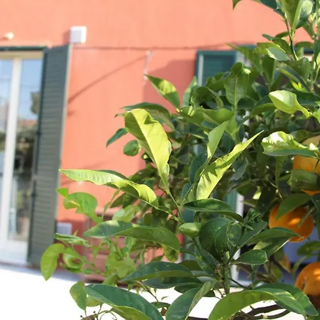 Aeroporto Bellini Affittacamere