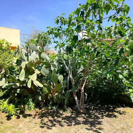 Aeroporto Bellini 3* Catania